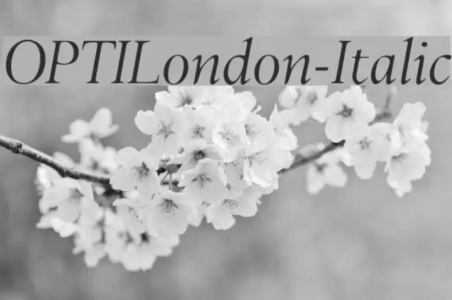 OPTILondon-Italic  examples