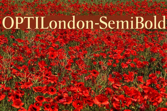 OPTILondon-SemiBold Font examples