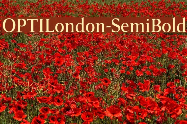 OPTILondon-SemiBold Example 1