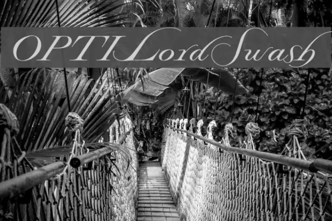 OPTILordSwash Font examples