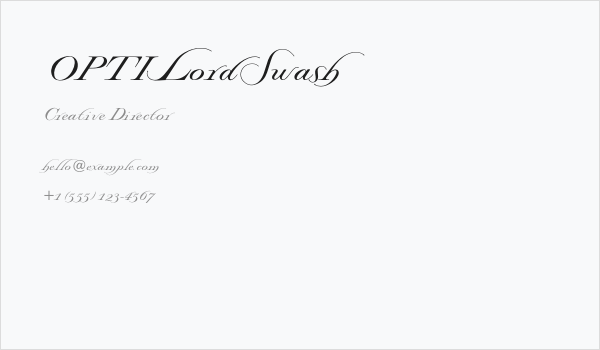 OPTILordSwash Business Card