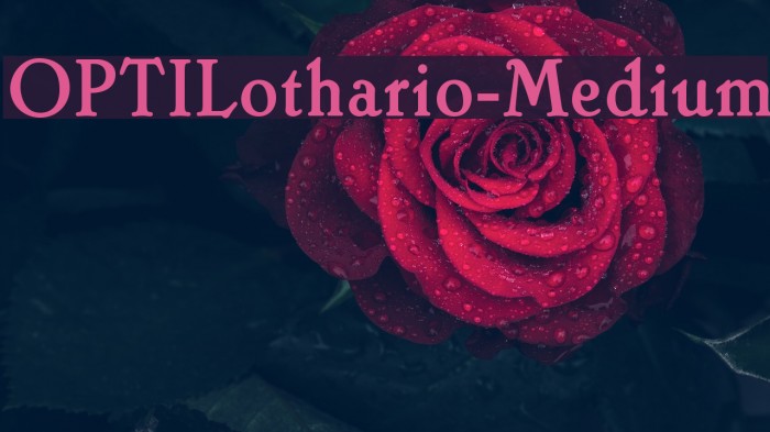 OPTILothario-Medium Font examples