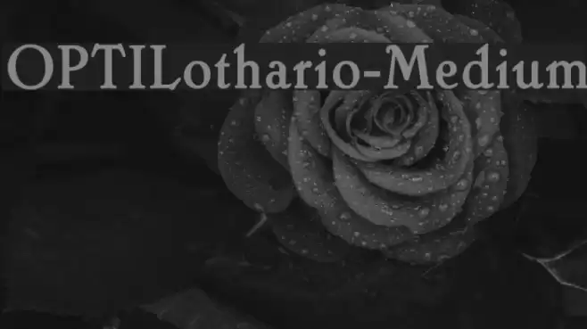 OPTILothario-Medium Font examples