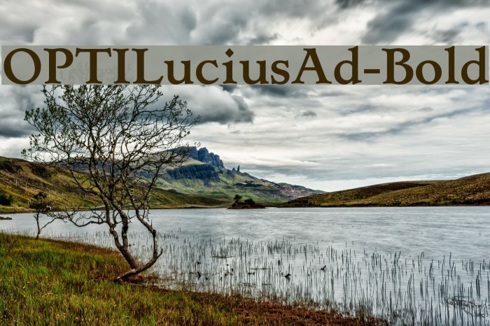 OPTILuciusAd-Bold Example 2