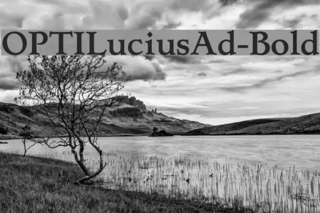 OPTILuciusAd-Bold Font examples