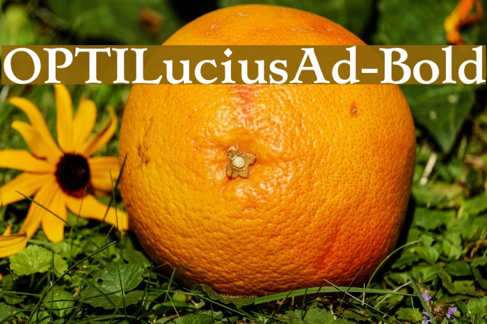 OPTILuciusAd-Bold Example 3