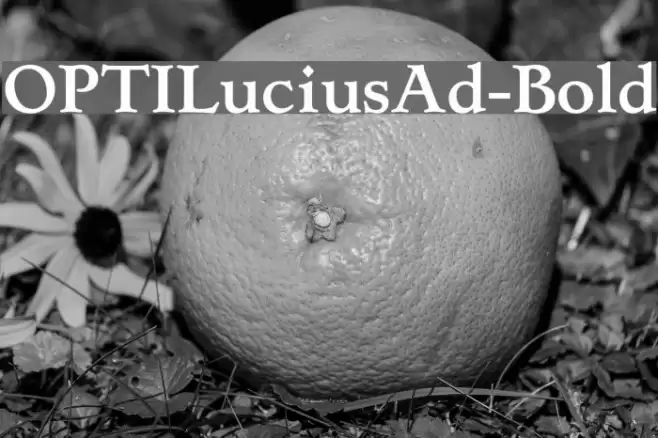 OPTILuciusAd-Bold Font examples