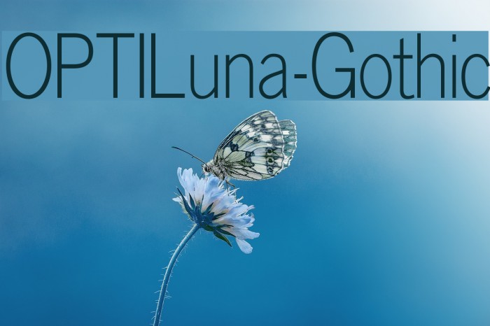 OPTILuna-Gothic Font examples