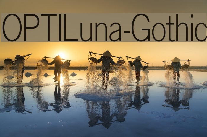 OPTILuna-Gothic Font examples