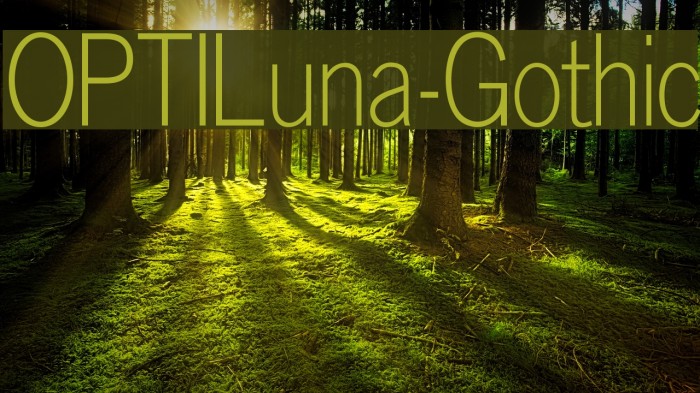 OPTILuna-Gothic Font examples