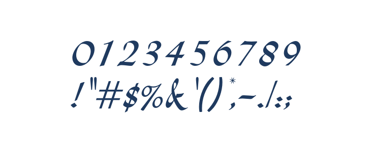 OPTILydian-Cursive Other Characters