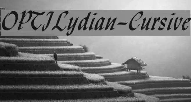 OPTILydian-Cursive Font examples