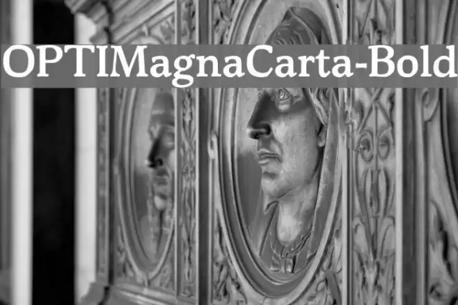 OPTIMagnaCarta-Bold Font examples