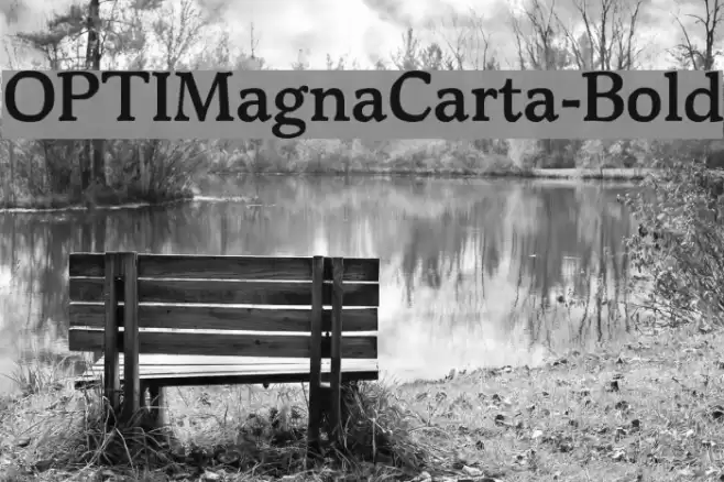 OPTIMagnaCarta-Bold Font examples