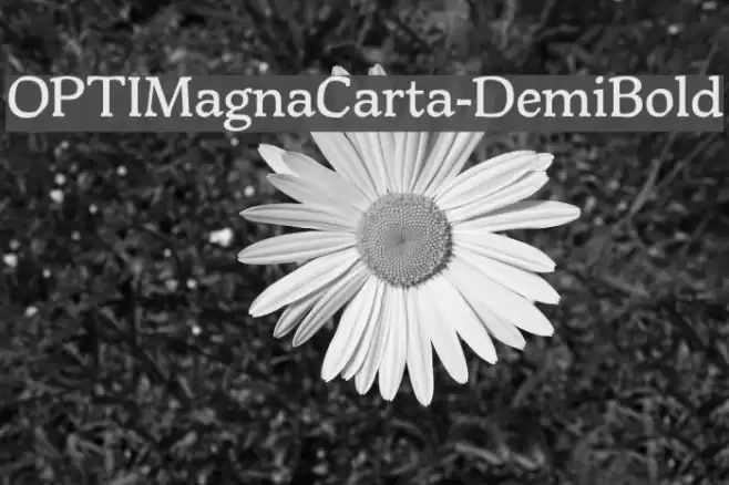 OPTIMagnaCarta-DemiBold Font examples
