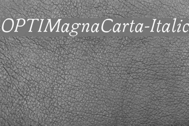 OPTIMagnaCarta-Italic Font examples