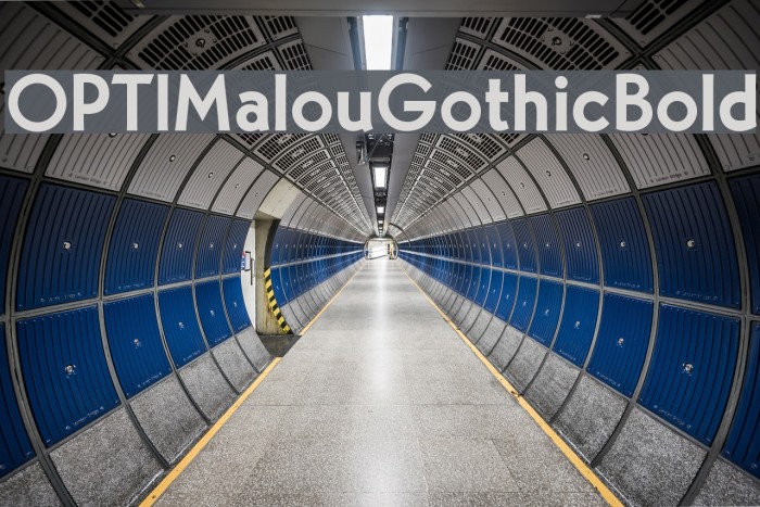 OPTIMalouGothicBold Polices examples