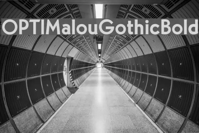OPTIMalouGothicBold Font examples