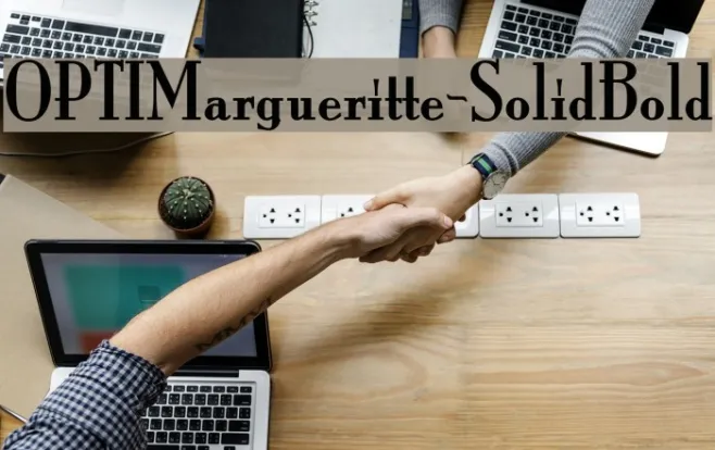 OPTIMargueritte-SolidBold Example 2