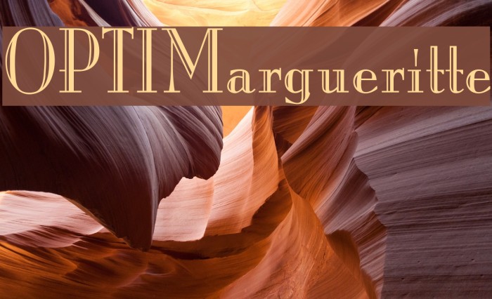 OPTIMargueritte Font examples