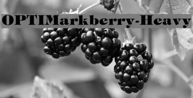 OPTIMarkberry-Heavy Font examples