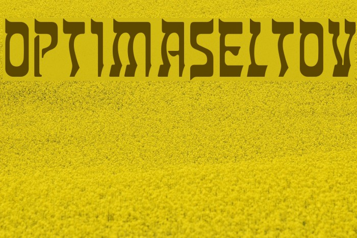 OPTIMaseltov Example 1