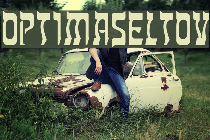 OPTIMaseltov Example 2