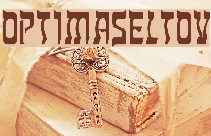 OPTIMaseltov Example 3