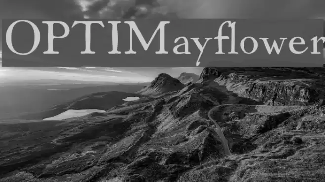 OPTIMayflower Font examples