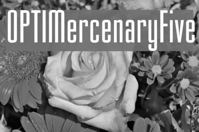 OPTIMercenaryFive Font examples