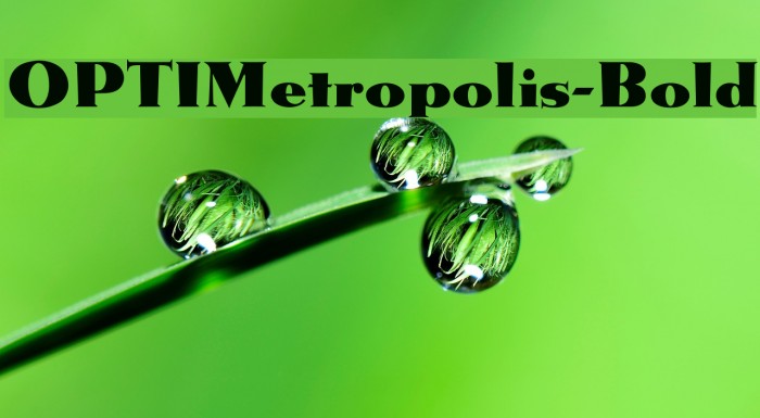 OPTIMetropolis-Bold Font examples