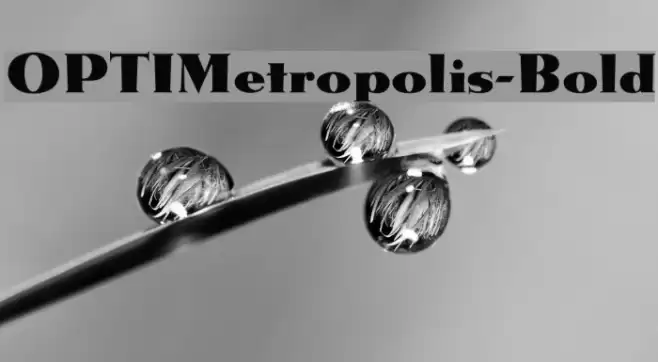 OPTIMetropolis-Bold خط examples