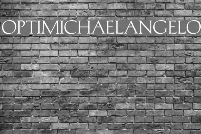 OPTIMichaelAngelo خط examples