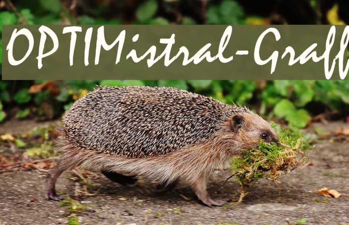 OPTIMistral-Graff Font examples