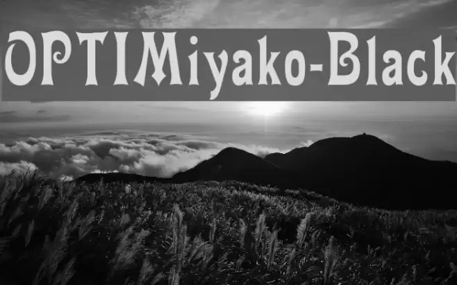 OPTIMiyako-Black Font examples