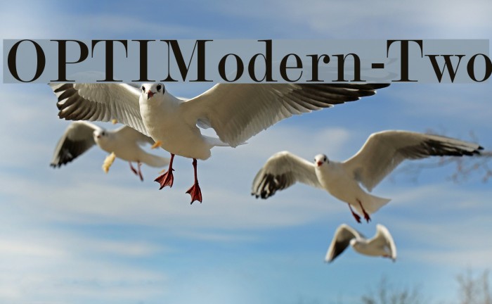 OPTIModern-Two Font examples