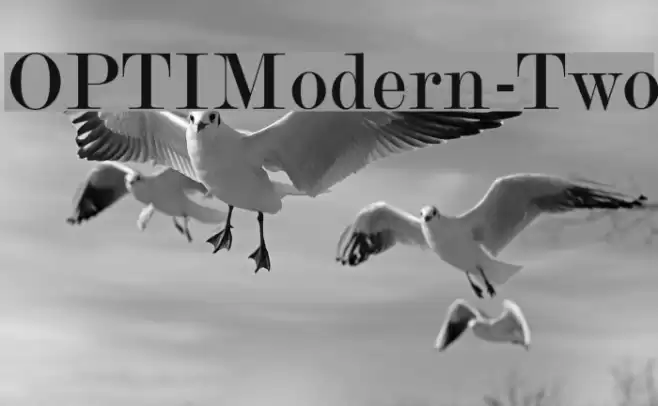 OPTIModern-Two Font examples