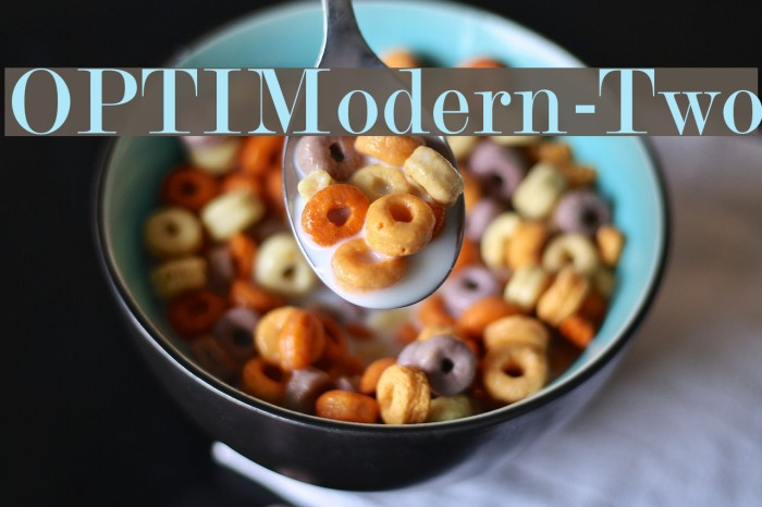 OPTIModern-Two Font examples