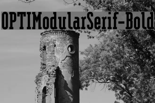 OPTIModularSerif-Bold Font examples
