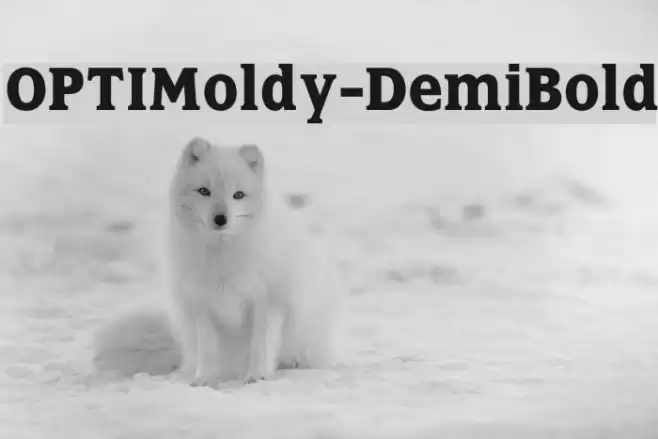 OPTIMoldy-DemiBold Font examples