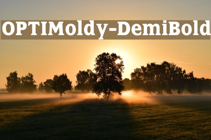 OPTIMoldy-DemiBold Font examples