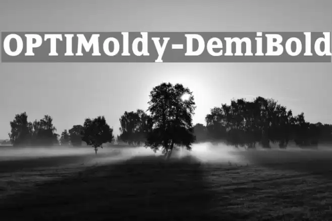 OPTIMoldy-DemiBold Font examples