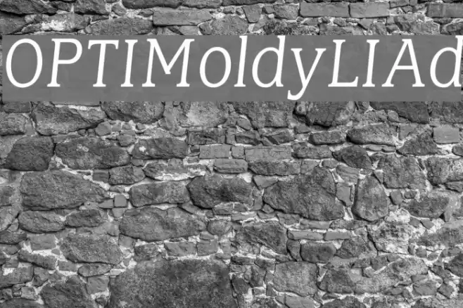 OPTIMoldyLIAd Fonte examples