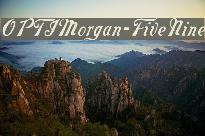 OPTIMorgan-FiveNine Font examples