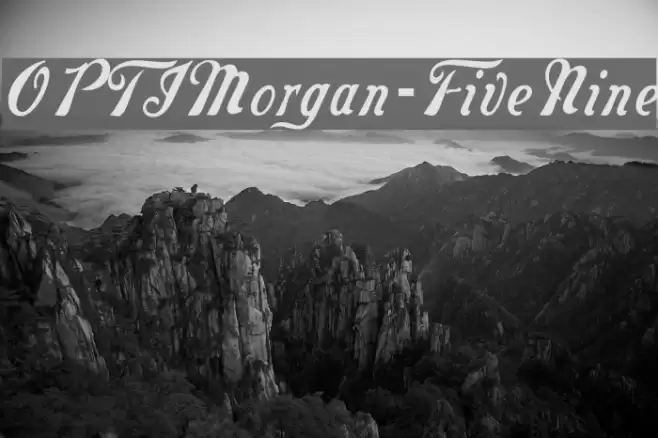 OPTIMorgan-FiveNine Fonte examples