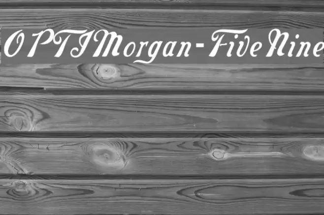 OPTIMorgan-FiveNine Fonte examples