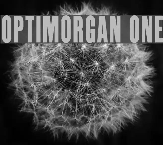 OPTIMorgan One Schriftart examples