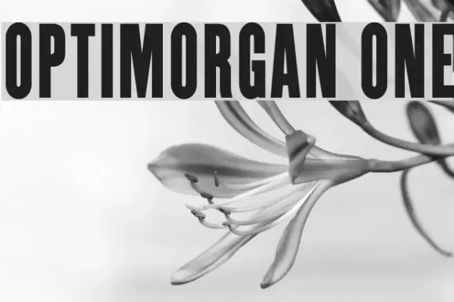 OPTIMorgan One Schriftart examples