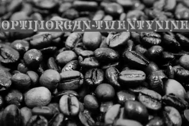 OPTIMorgan-TwentyNine Font examples