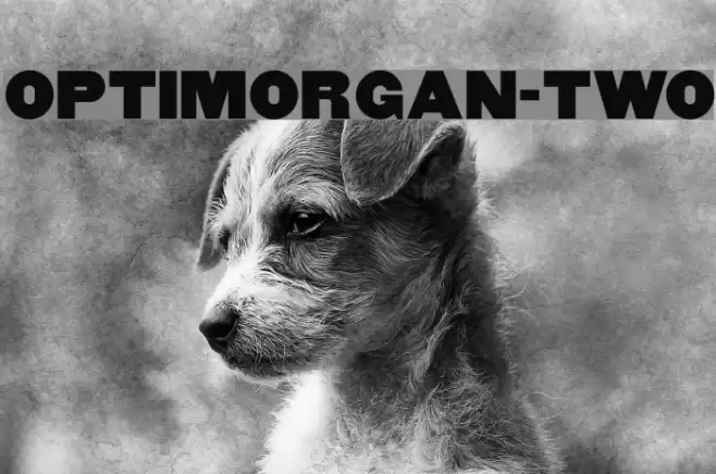 OPTIMorgan-Two Schriftart examples